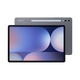Samsung Galaxy Tab S10+ - Moonstone Gray