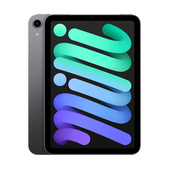 iPad mini 6th Gen - Space Gray