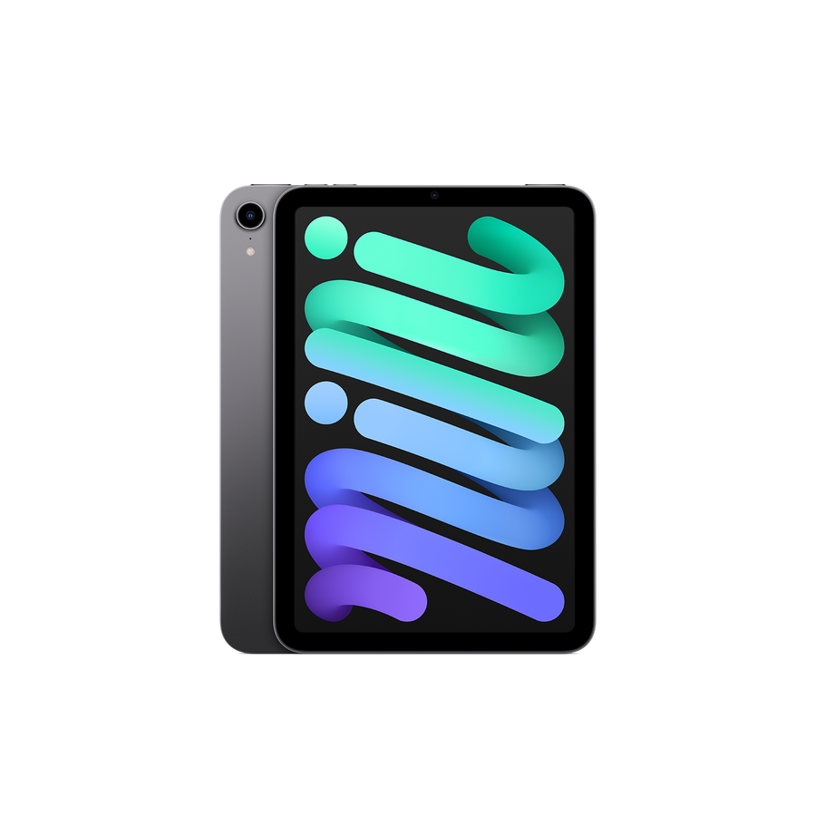 iPad mini 6th Gen - Space Gray