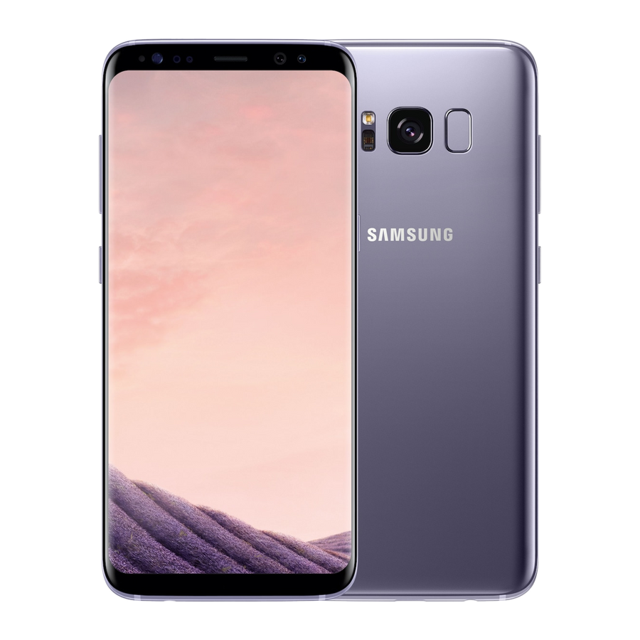Samsung Galaxy S8 - Orchid Gray