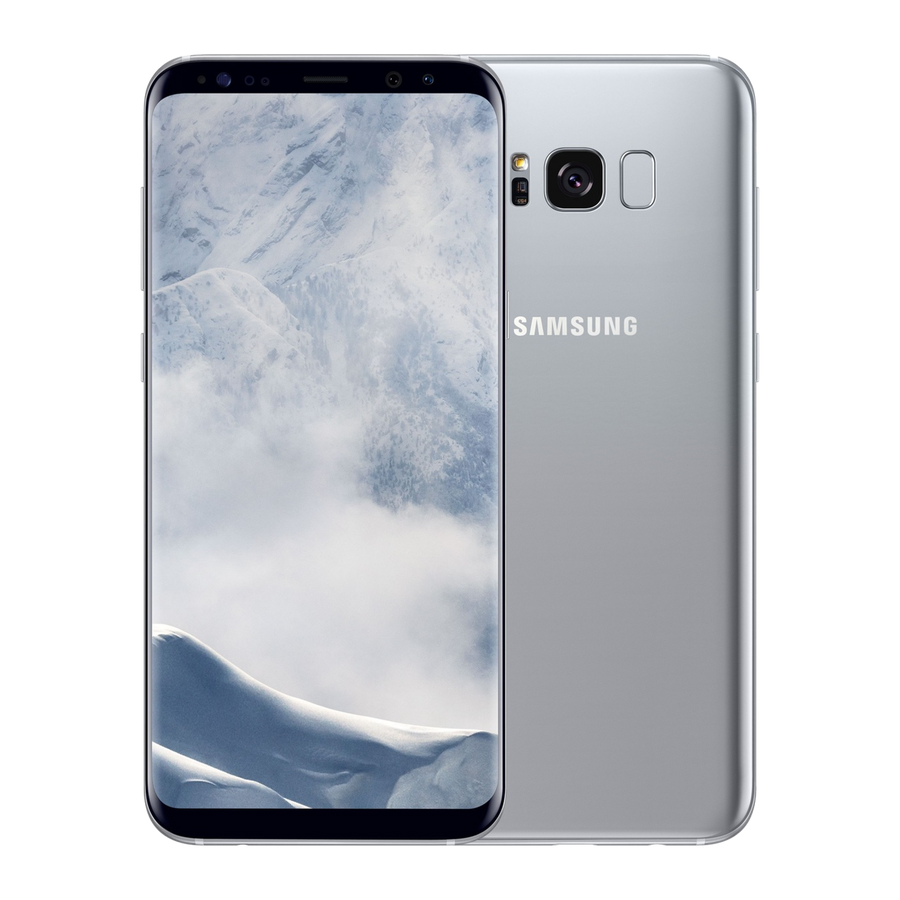 Samsung Galaxy S8+ - Arctic Silver