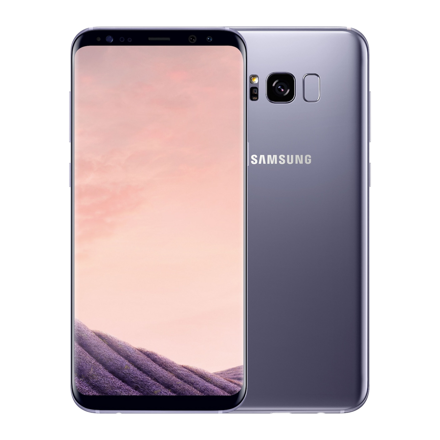 Samsung Galaxy S8+ - Orchid Gray